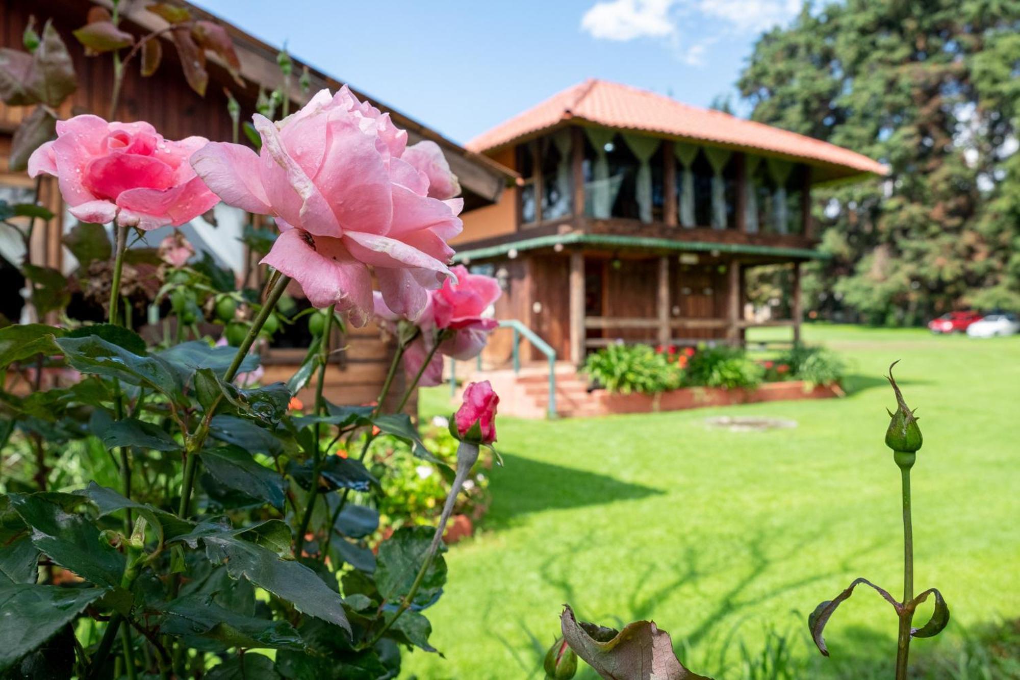 Zirahuen Forest And Resort Zirahuén Exterior foto